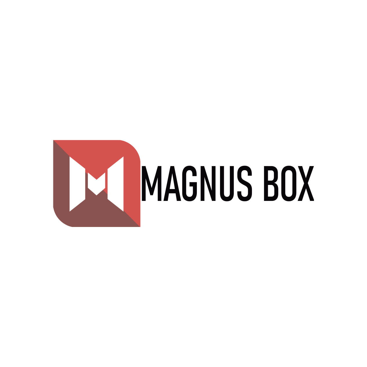partners_magnus-box