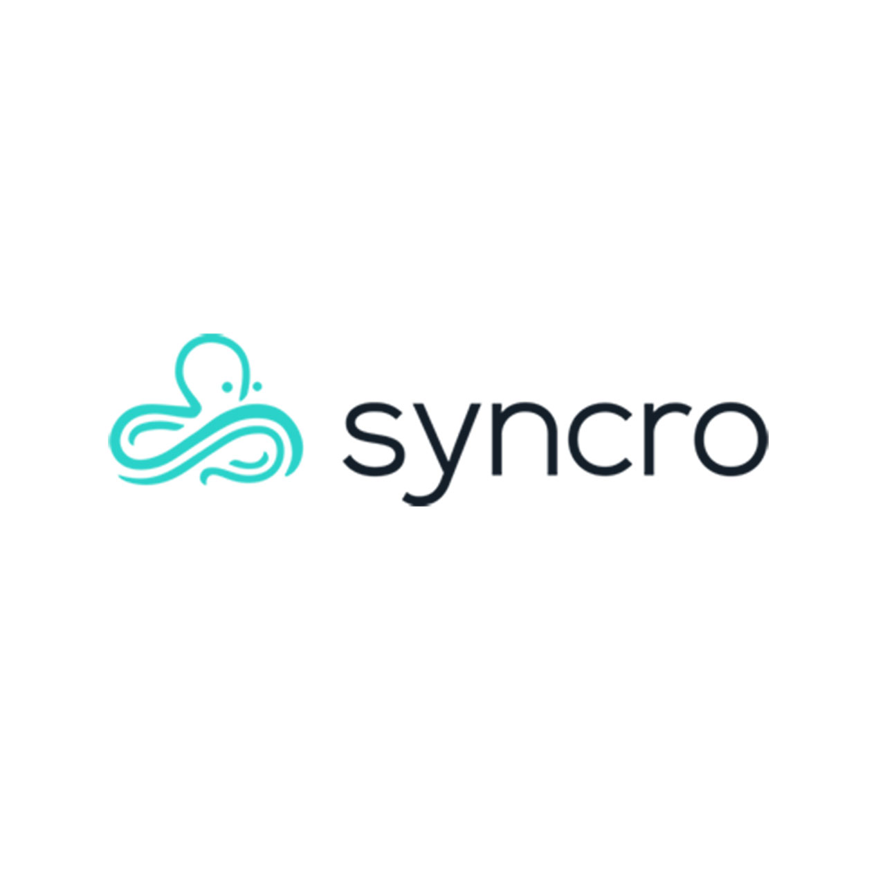 partners_syncro